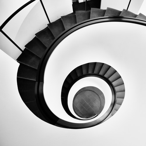Portfolio Image